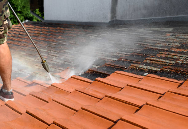 Best House Pressure Washing  in Bloomingdale, FL