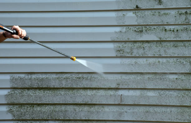 Best Residential Pressure Washing Services  in Bloomingdale, FL