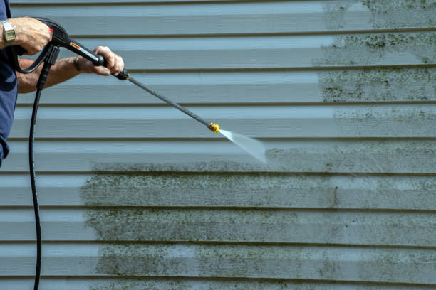Best Roof Pressure Washing  in Bloomingdale, FL