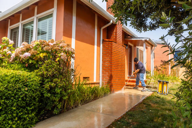 Best Deck Pressure Washing  in Bloomingdale, FL