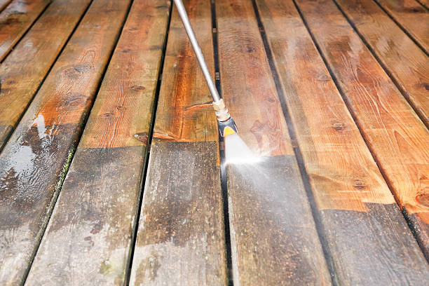 Best Roof Pressure Washing  in Bloomingdale, FL