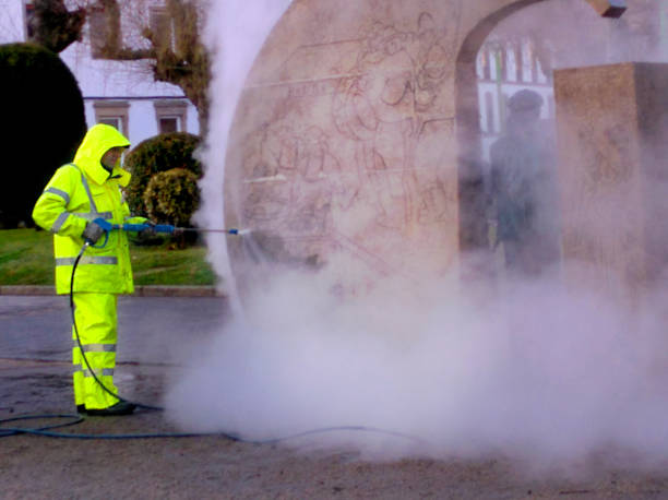 Best Pressure Washing Company Near Me  in Bloomingdale, FL