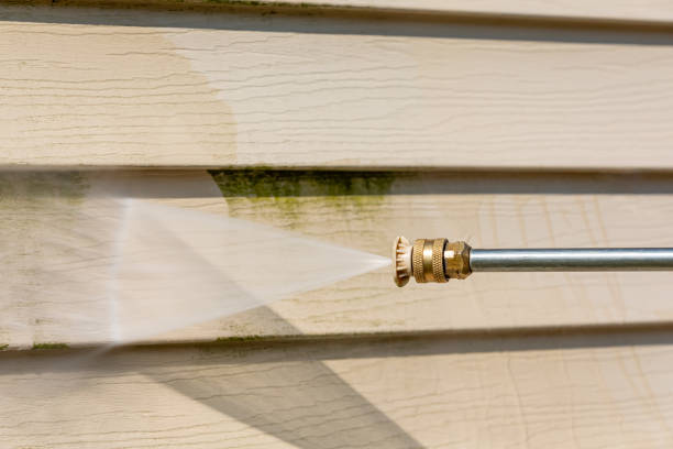 Best Garage Pressure Washing  in Bloomingdale, FL