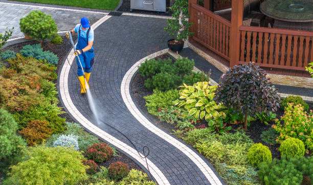 Local Pressure Washing Services in Bloomingdale, FL