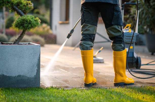 Best Affordable Pressure Washing  in Bloomingdale, FL